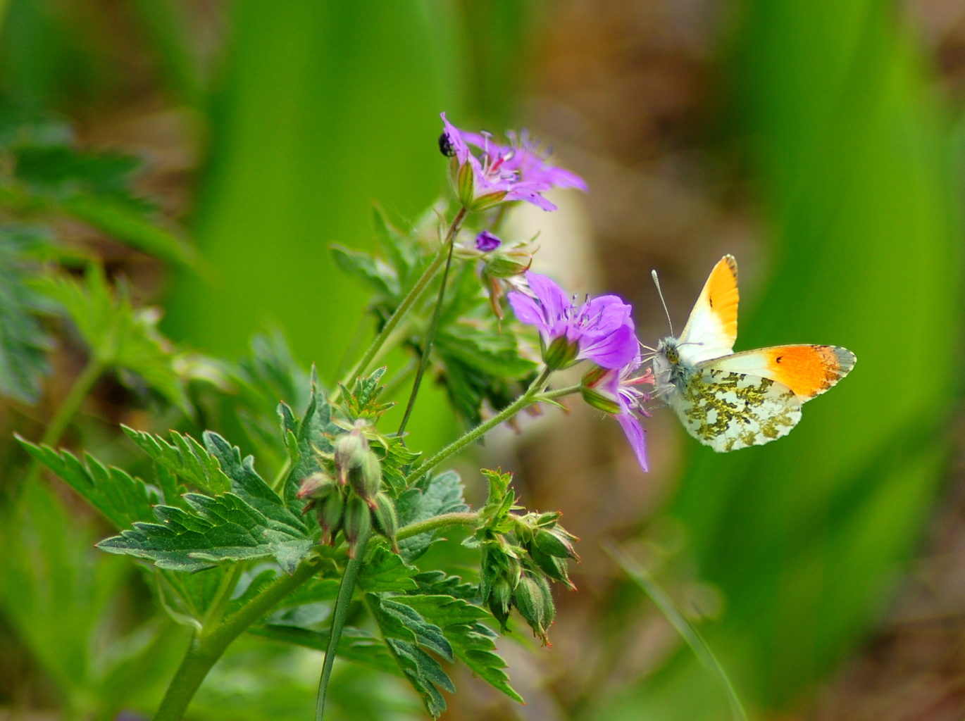 Valokuvaaja: Heidi Rikala