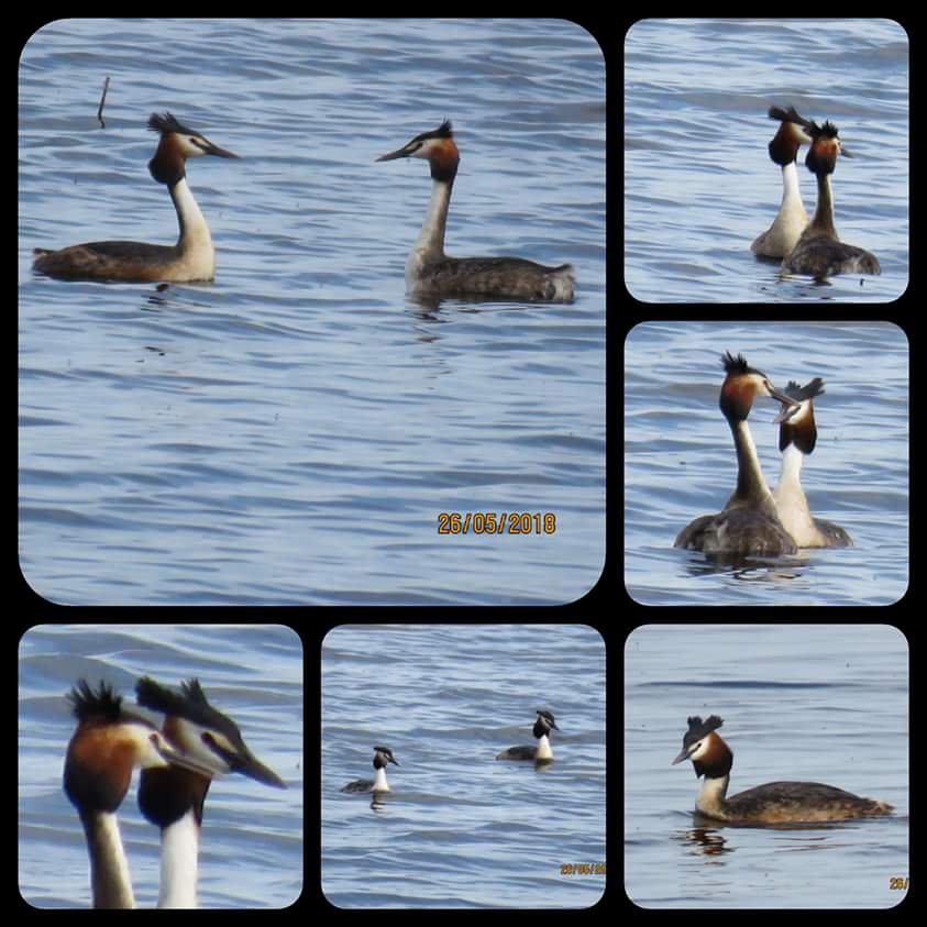 Valokuvaaja: Tuula Makkonen