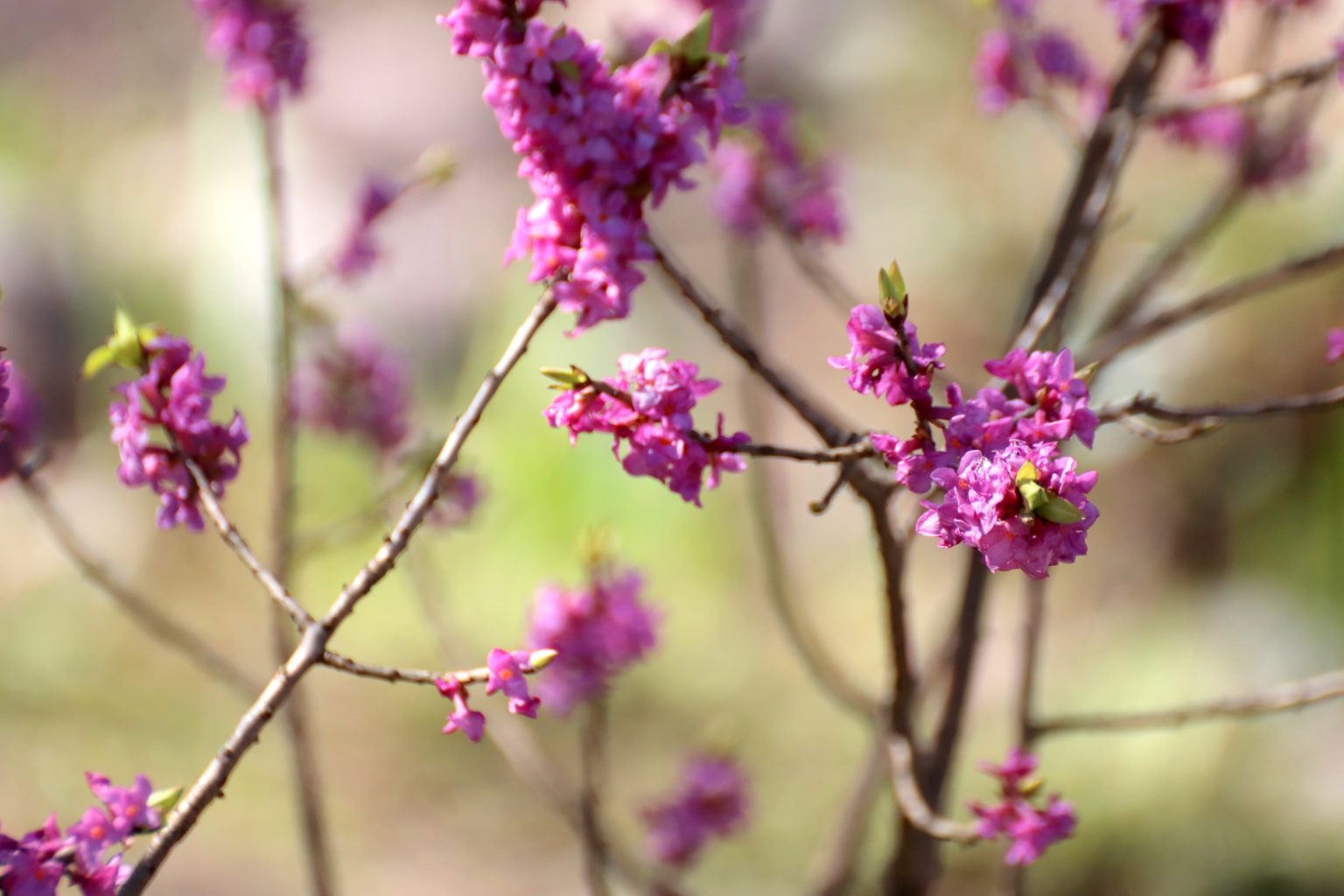 Valokuvaaja: Irja lehtinen