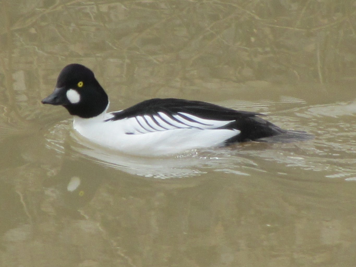 Valokuvaaja: Risto Kangassalo
