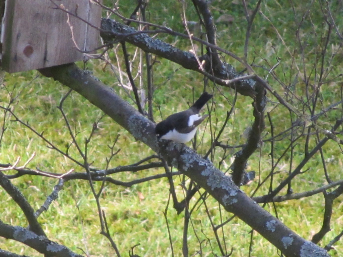 Valokuvaaja: Risto Kangassalo