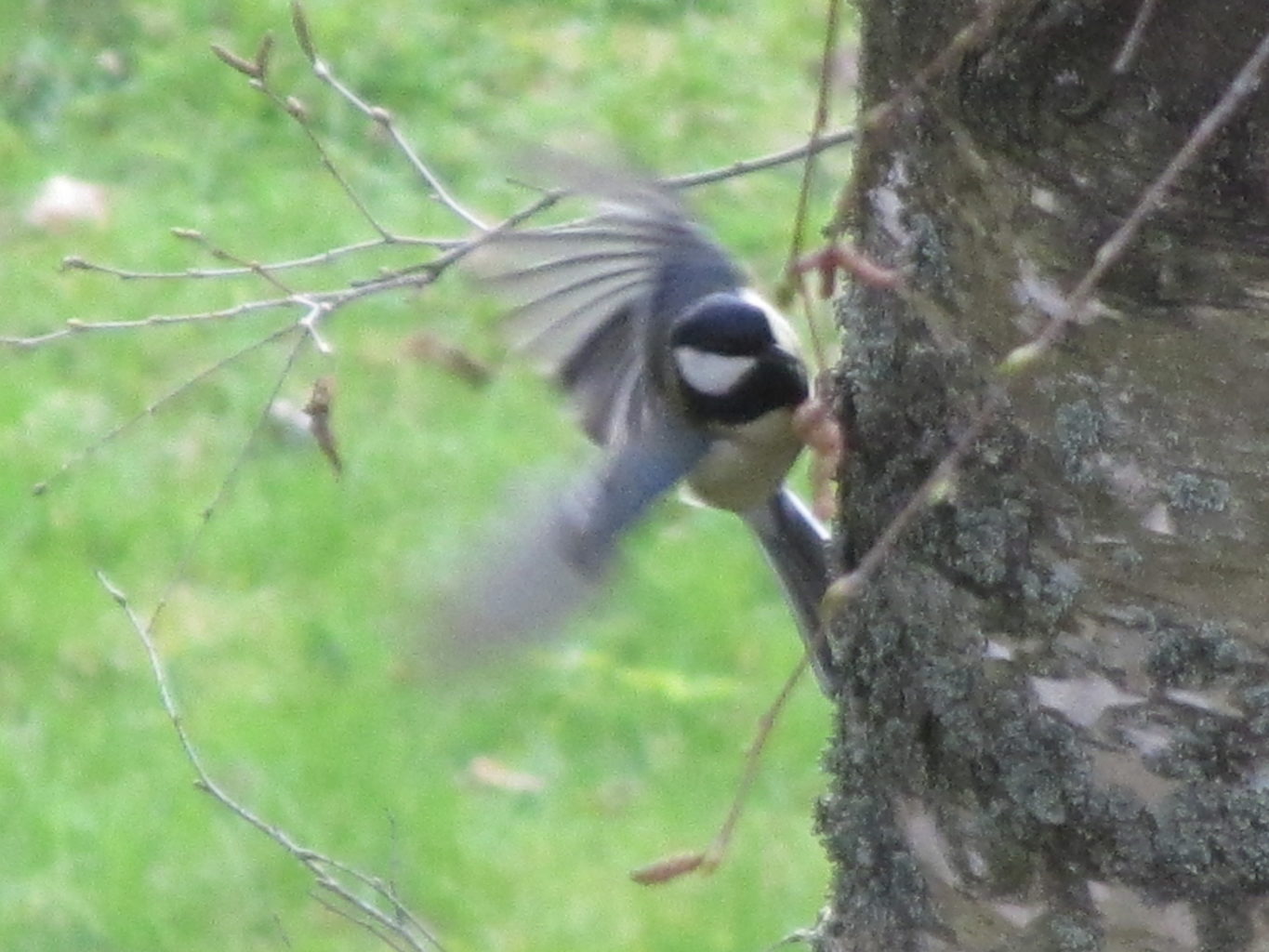 Valokuvaaja: Risto Kangassalo