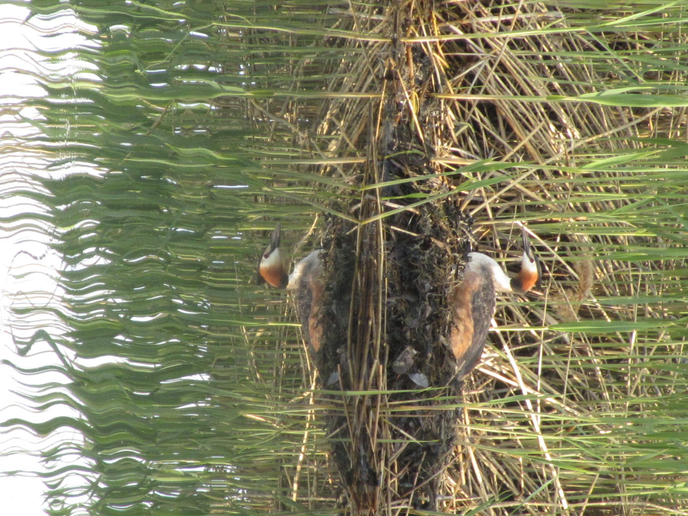 Valokuvaaja: Risto Kangassalo