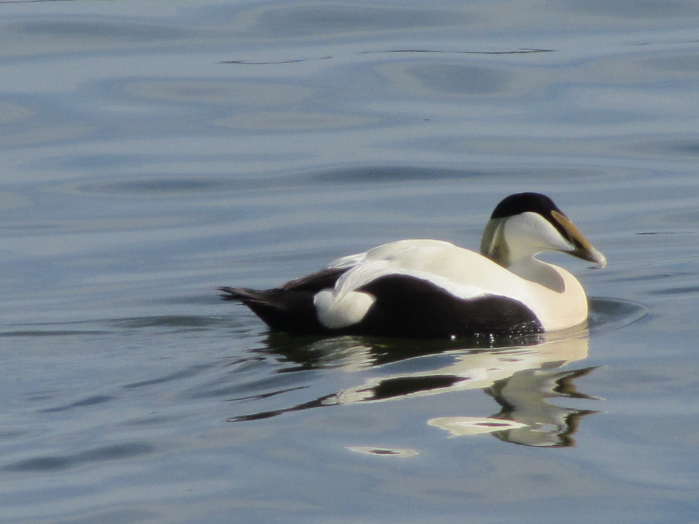 Valokuvaaja: Risto Kangassalo