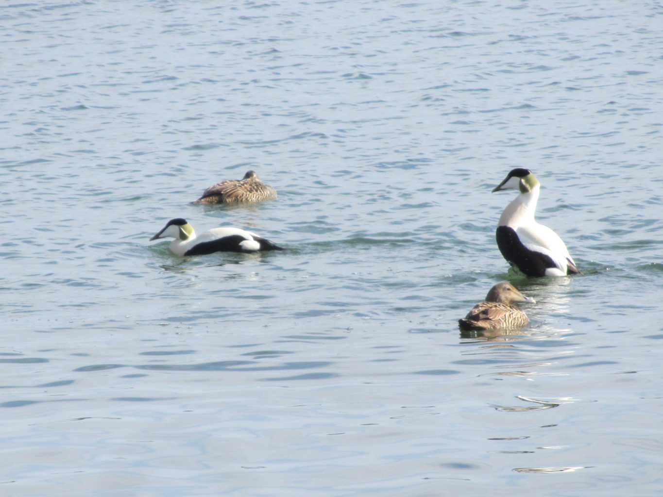 Valokuvaaja: Risto Kangassalo