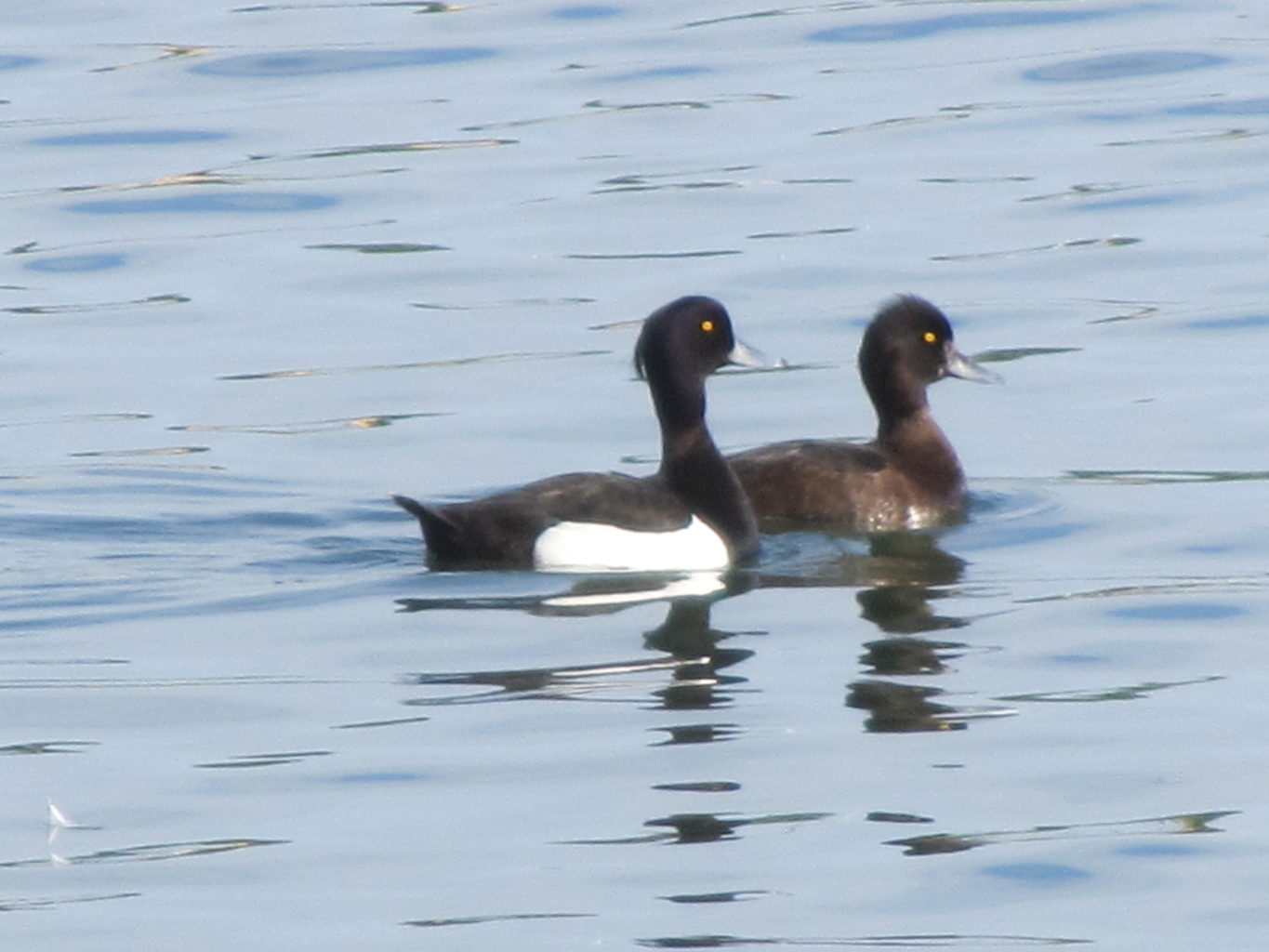 Valokuvaaja: Risto Kangassalo Valokuvaaja: Risto Kangassalo