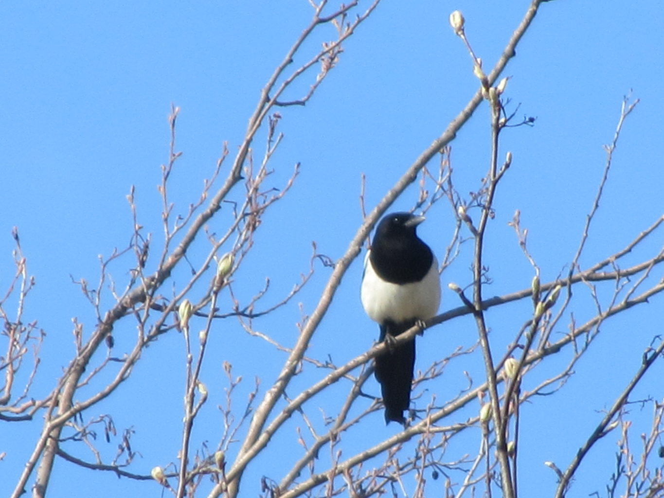 Valokuvaaja: Risto Kangassalo