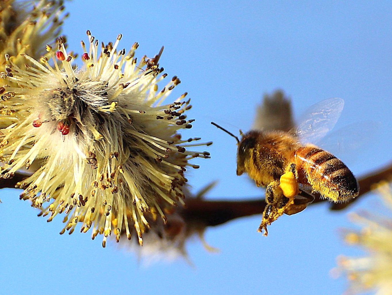 Valokuvaaja: Irja lehtinen