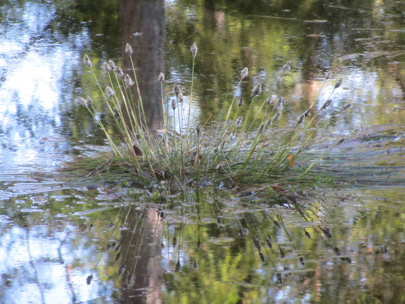 Valokuvaaja: Risto Kangassalo