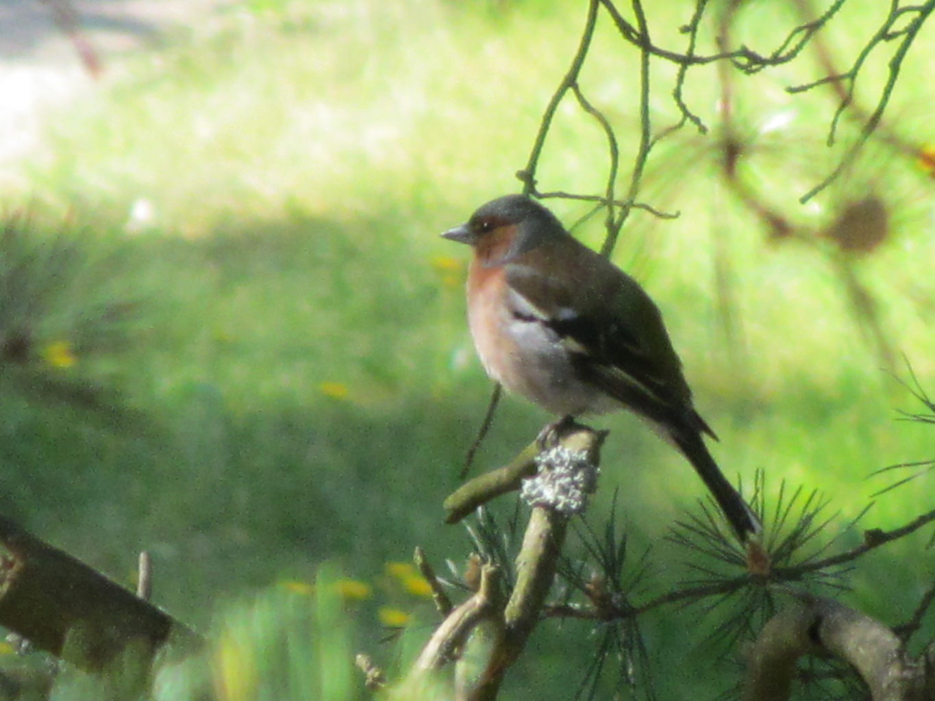 Valokuvaaja: Risto Kangassalo