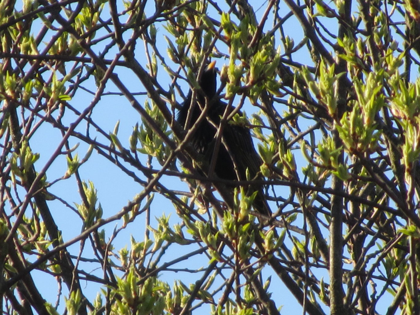 Valokuvaaja: Risto Kangassalo