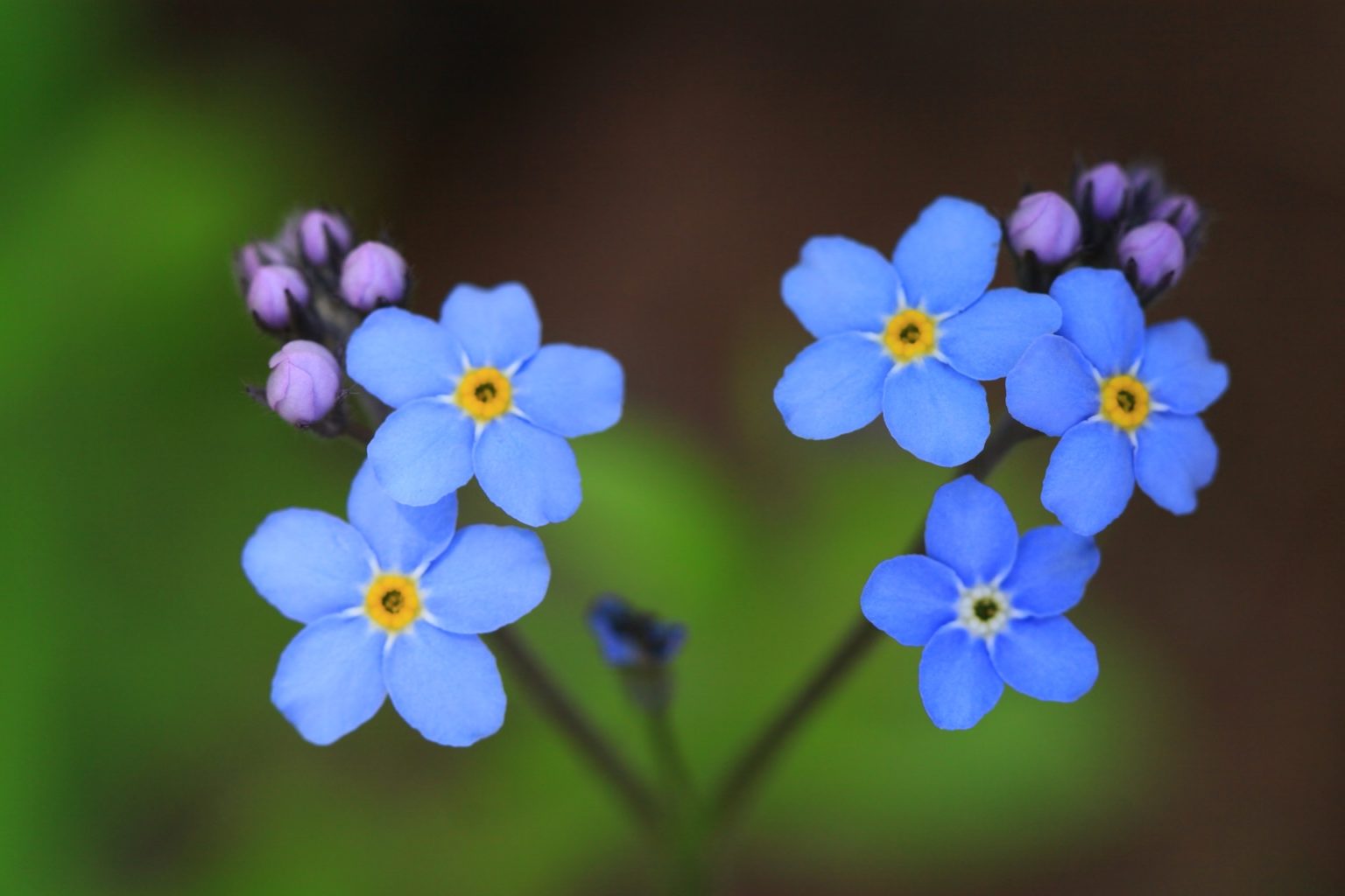 Valokuvaaja: BERNDT HANNELIUS
