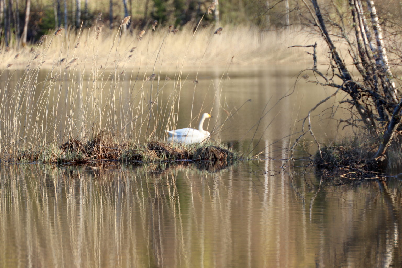 Valokuvaaja: Irja lehtinen