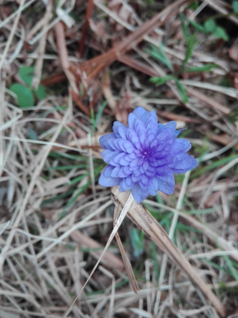 Valokuvaaja: Jonni Häkkinen