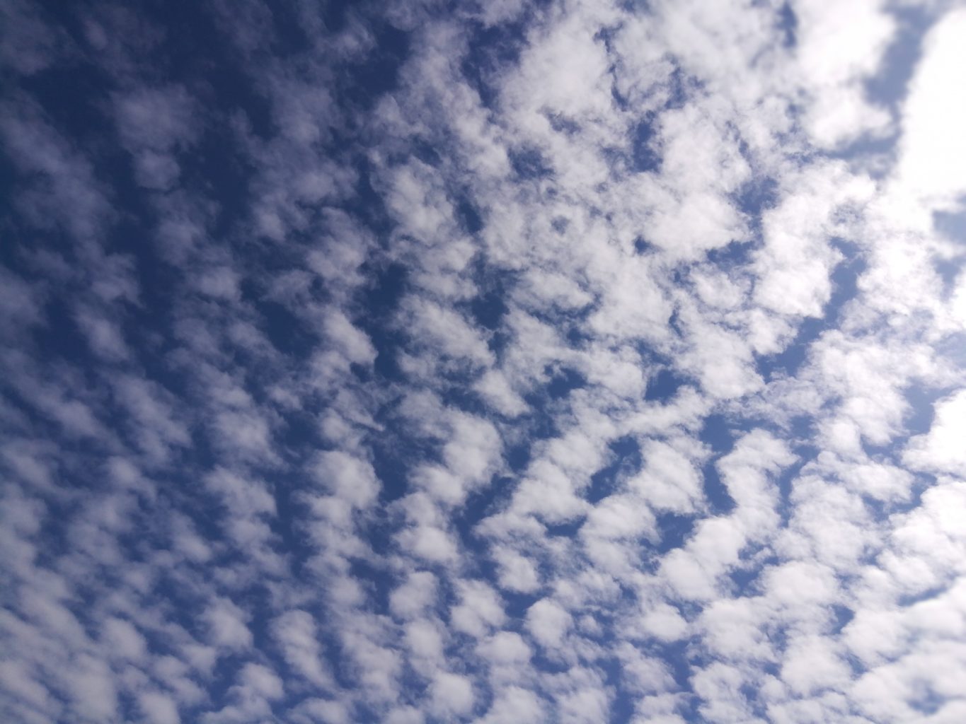 Valokuvaaja: Tapio Keinonen