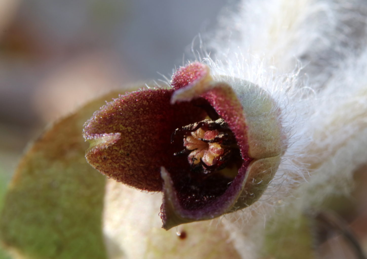 Valokuvaaja: hannu rasiranta