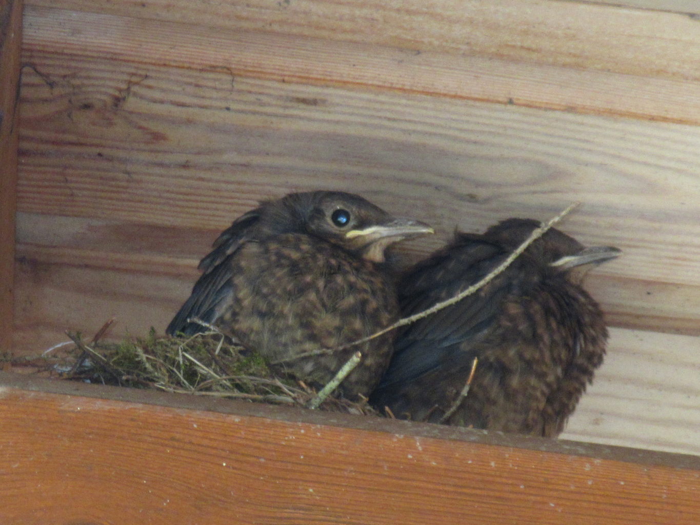 Valokuvaaja: Terttu Rantanen Valokuvaaja: Terttu Rantanen