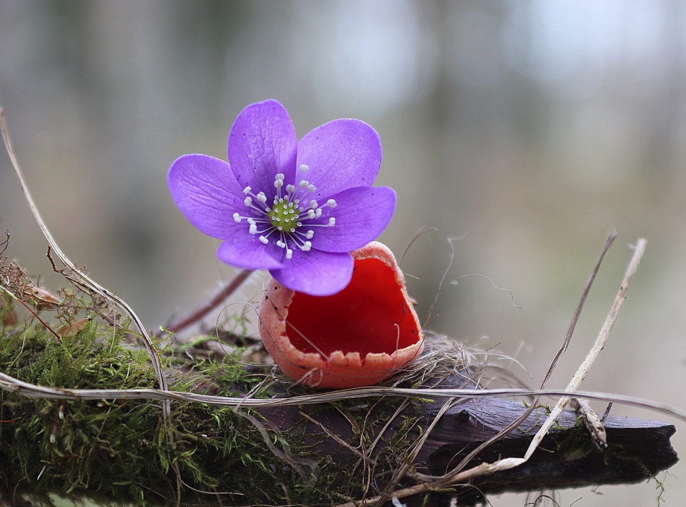 Valokuvaaja: Irja lehtinen