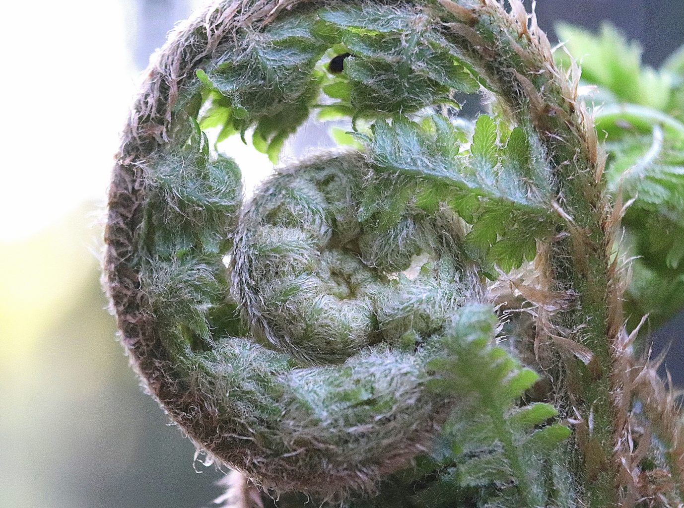 Valokuvaaja: Irja Lehtinen