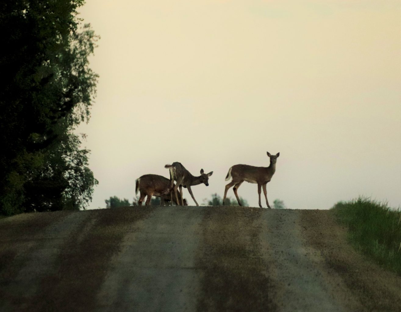 Valokuvaaja: Irja lehtinen
