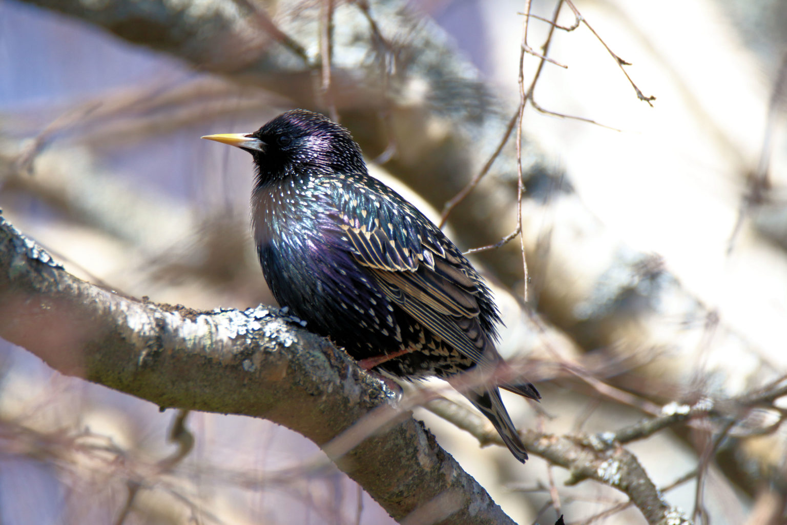 Valokuvaaja: Ahti Keränen