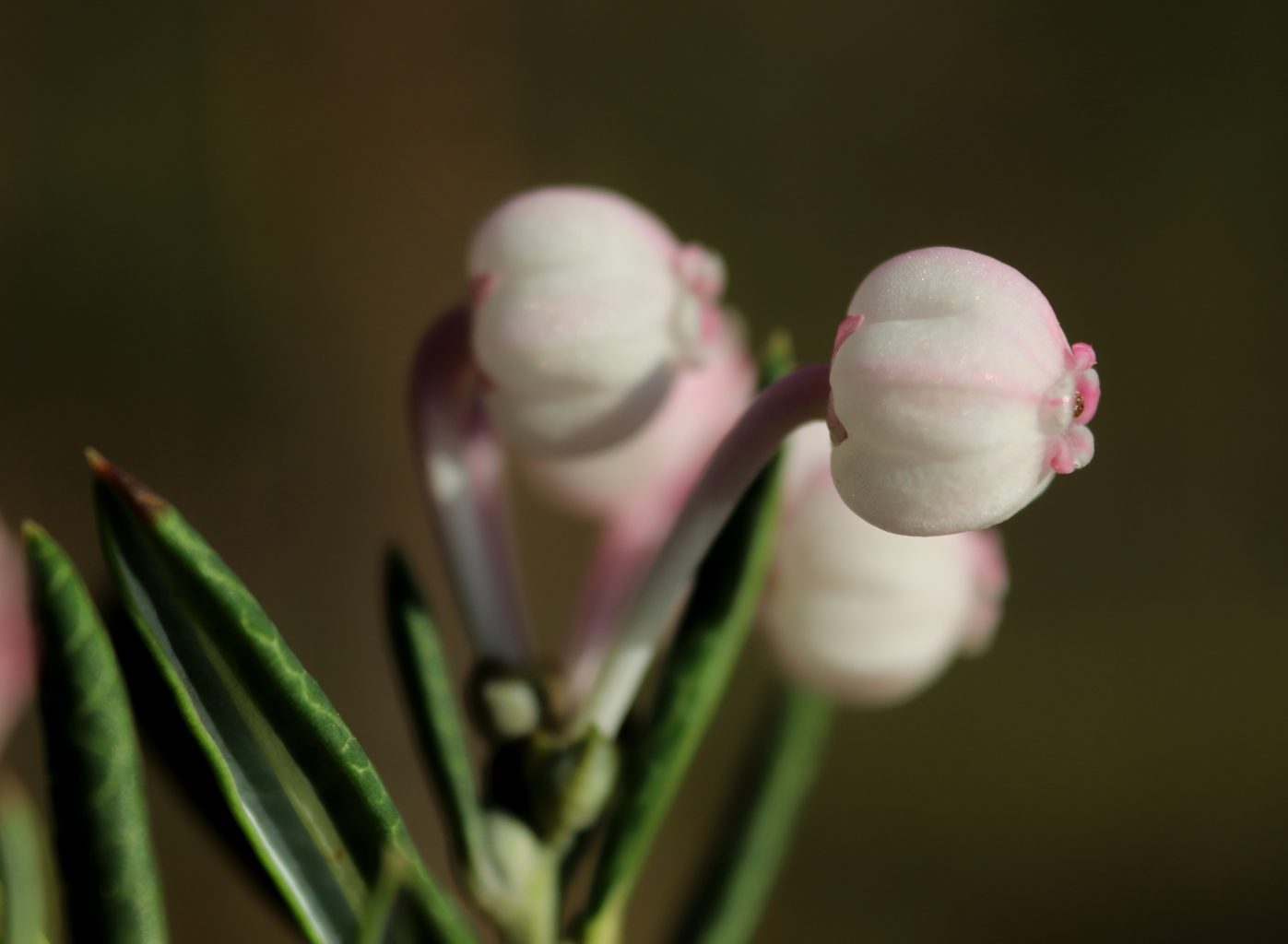 Valokuvaaja: Irja lehtinen