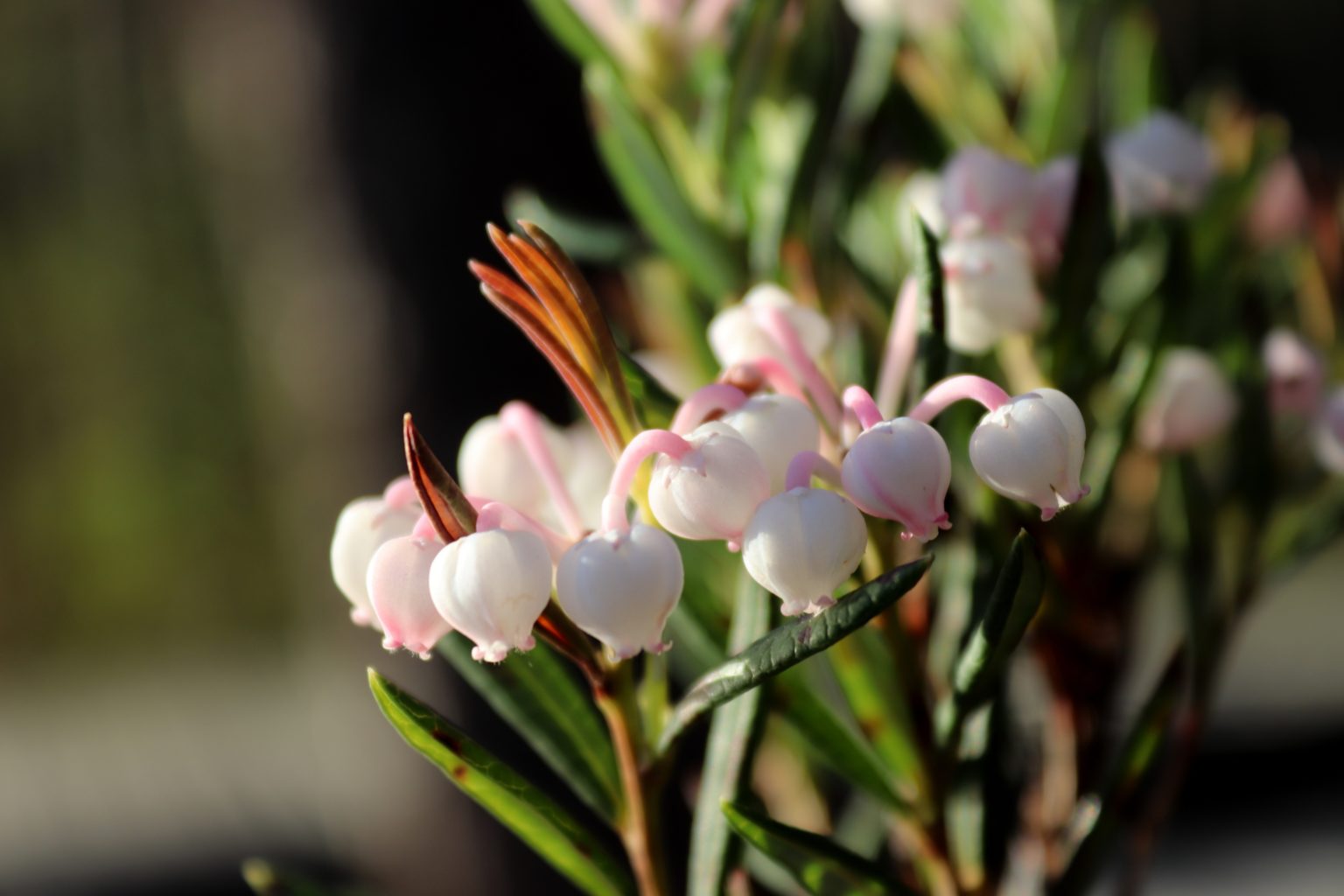 Valokuvaaja: Irja lehtinen