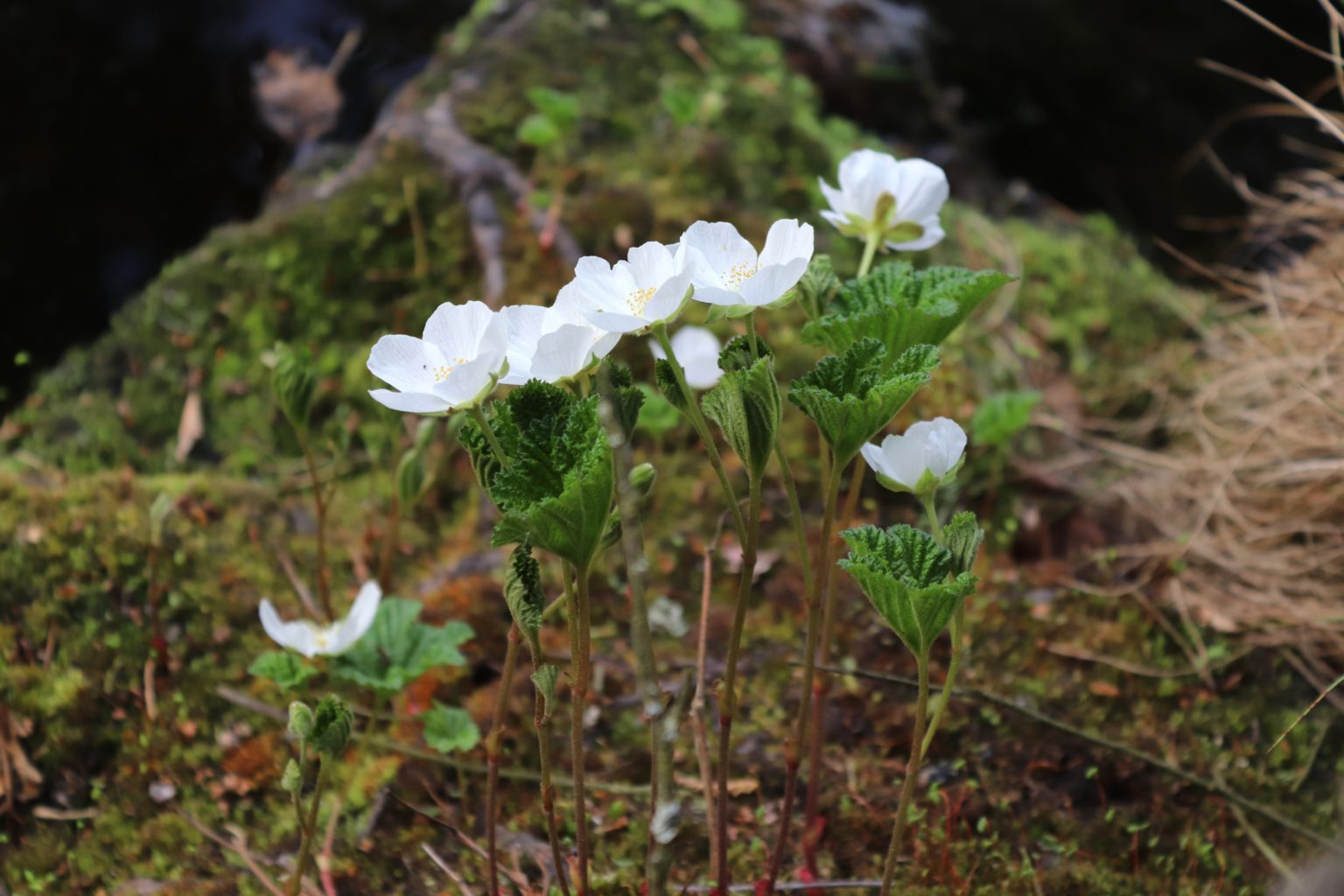 Valokuvaaja: Irja lehtinen