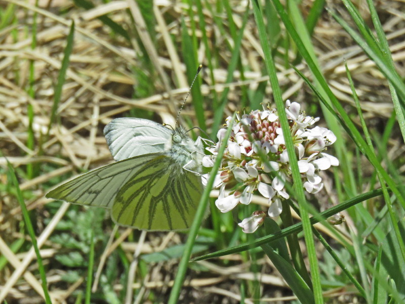Valokuvaaja: Liisa Johansson