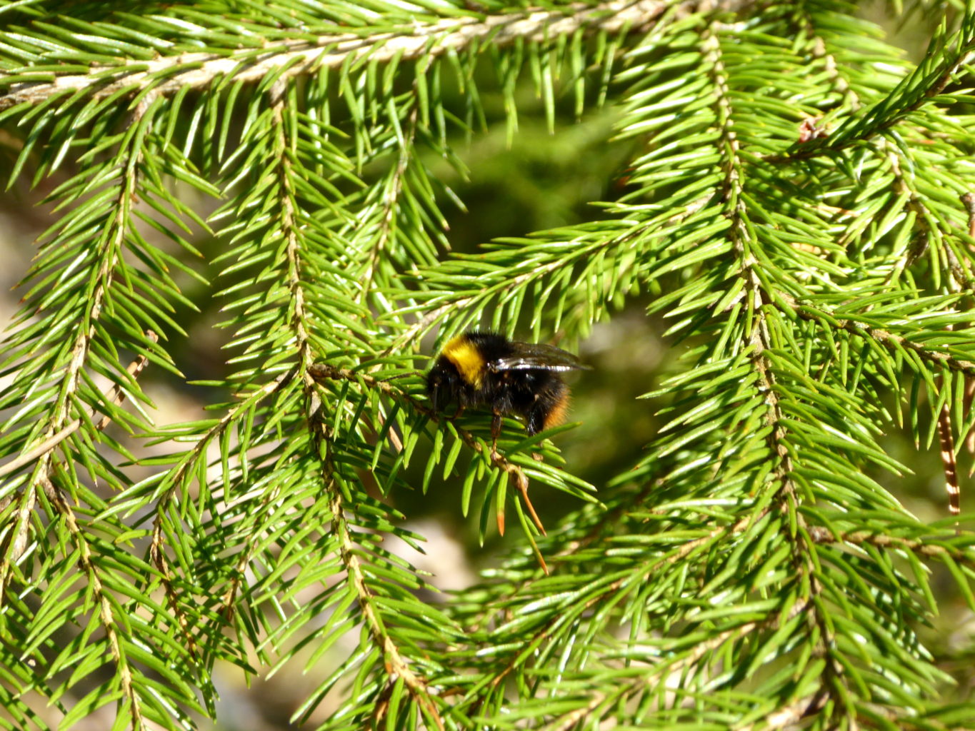 Valokuvaaja: Toni Asikainen Valokuvaaja: Toni Asikainen