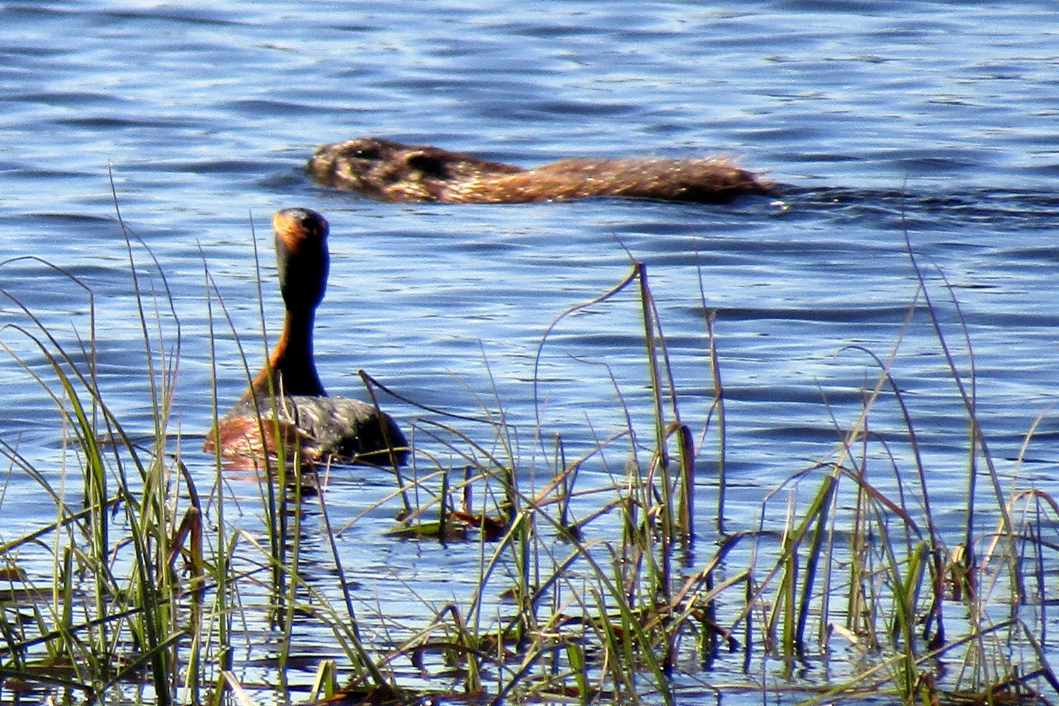 Valokuvaaja: Sirkka Ruotoistenmäki Valokuvaaja: Sirkka Ruotoistenmäki