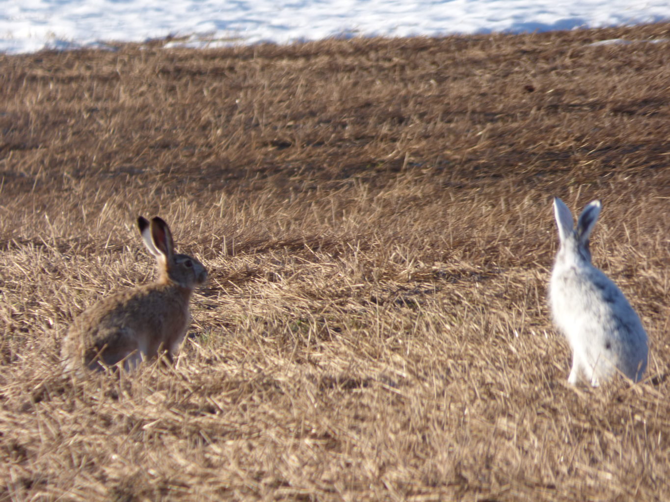 Valokuvaaja: Hannu Rissanen