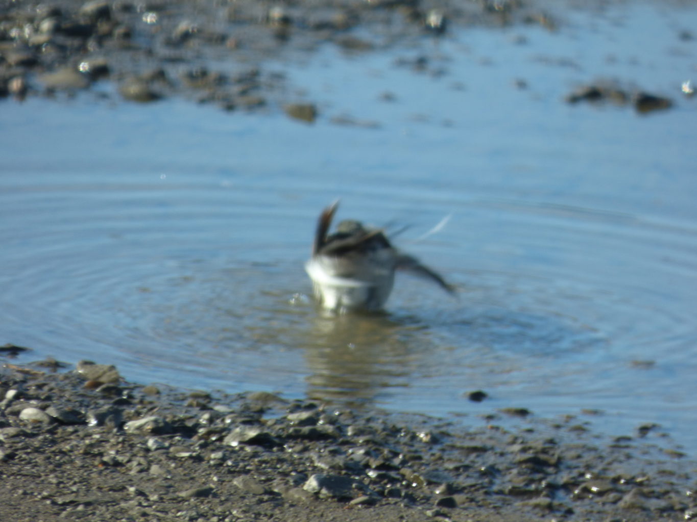 Valokuvaaja: Hannu Rissanen Valokuvaaja: Hannu Rissanen