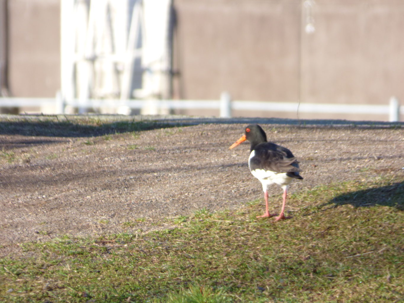 Valokuvaaja: Hannu Rissanen