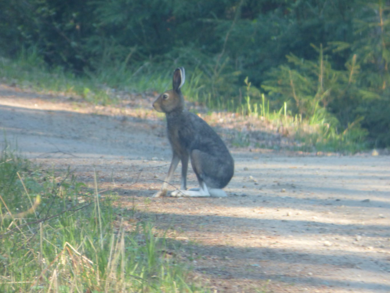 Valokuvaaja: Hannu Rissanen