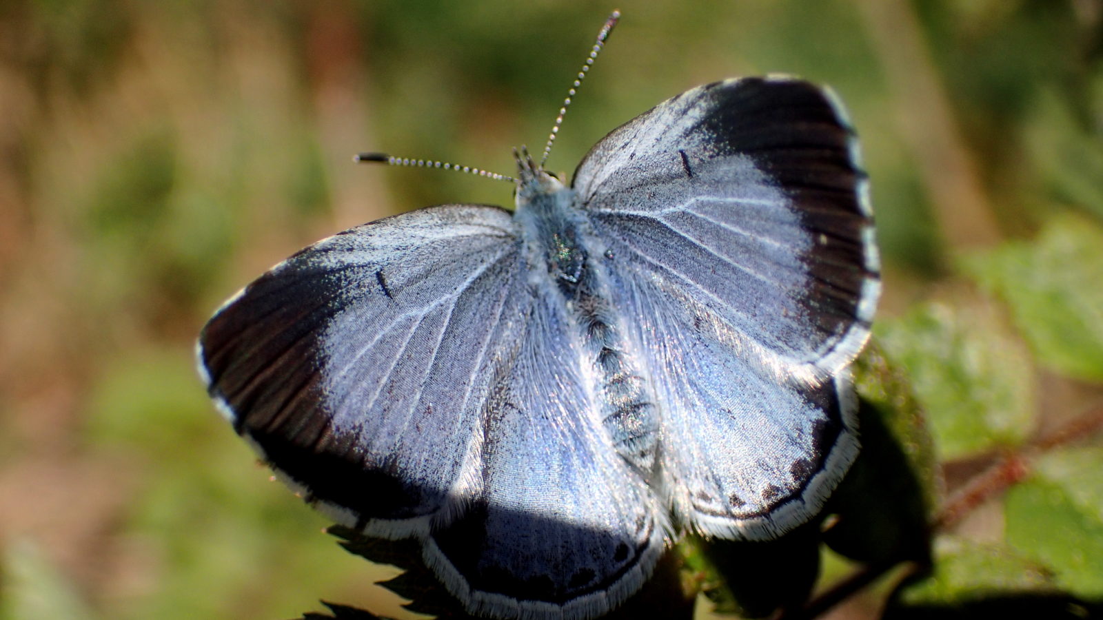Valokuvaaja: Heidi Rikala