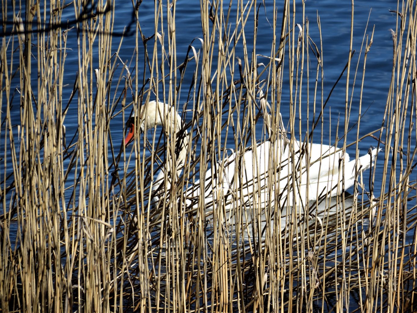 Valokuvaaja: Jukka Rönkä