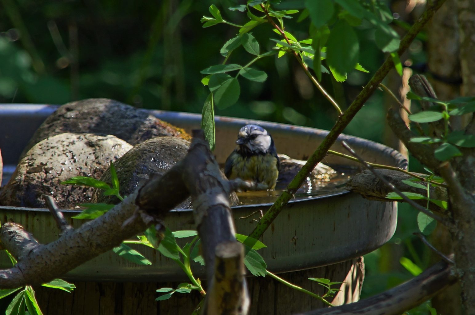 Valokuvaaja: Jenni Heikinniemi