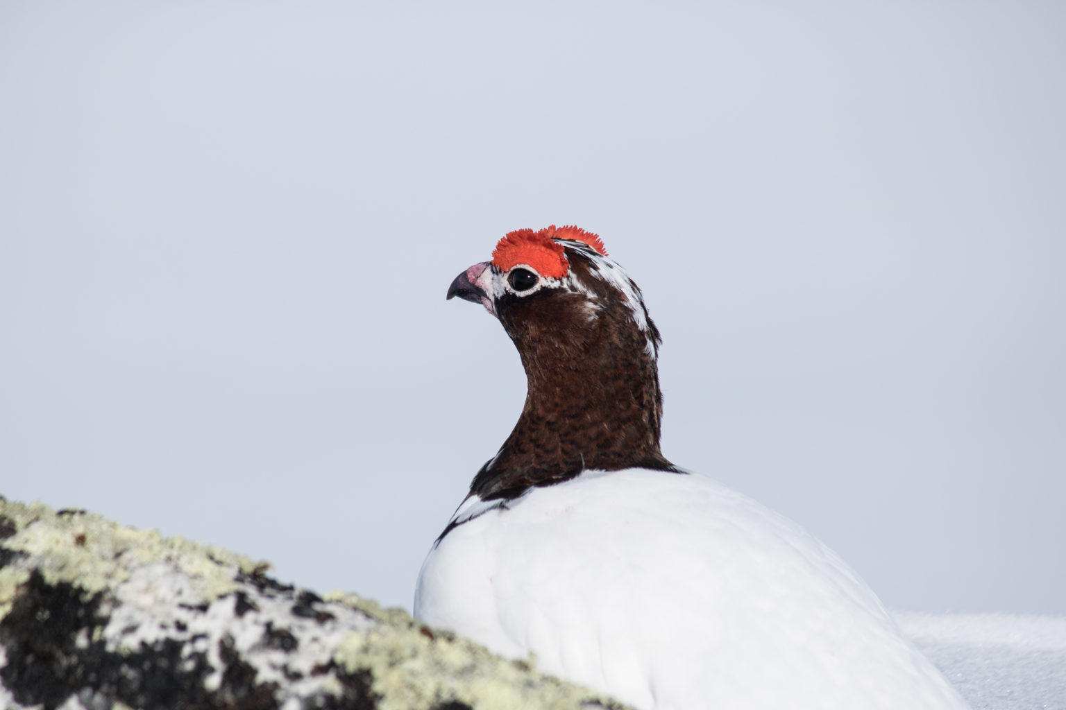 Valokuvaaja: Katri Niskanen
