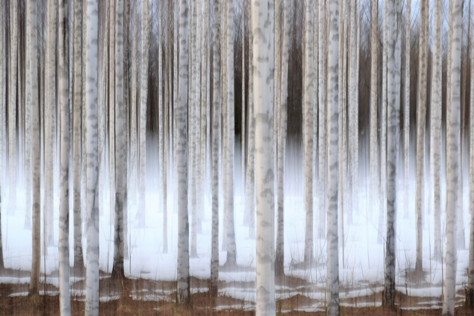 Valokuvaaja: Leena Rissanen