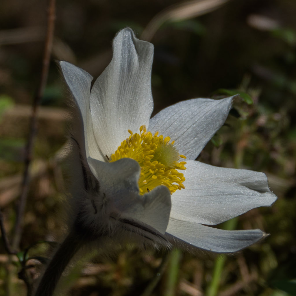 Valokuvaaja: Merja Ollikainen