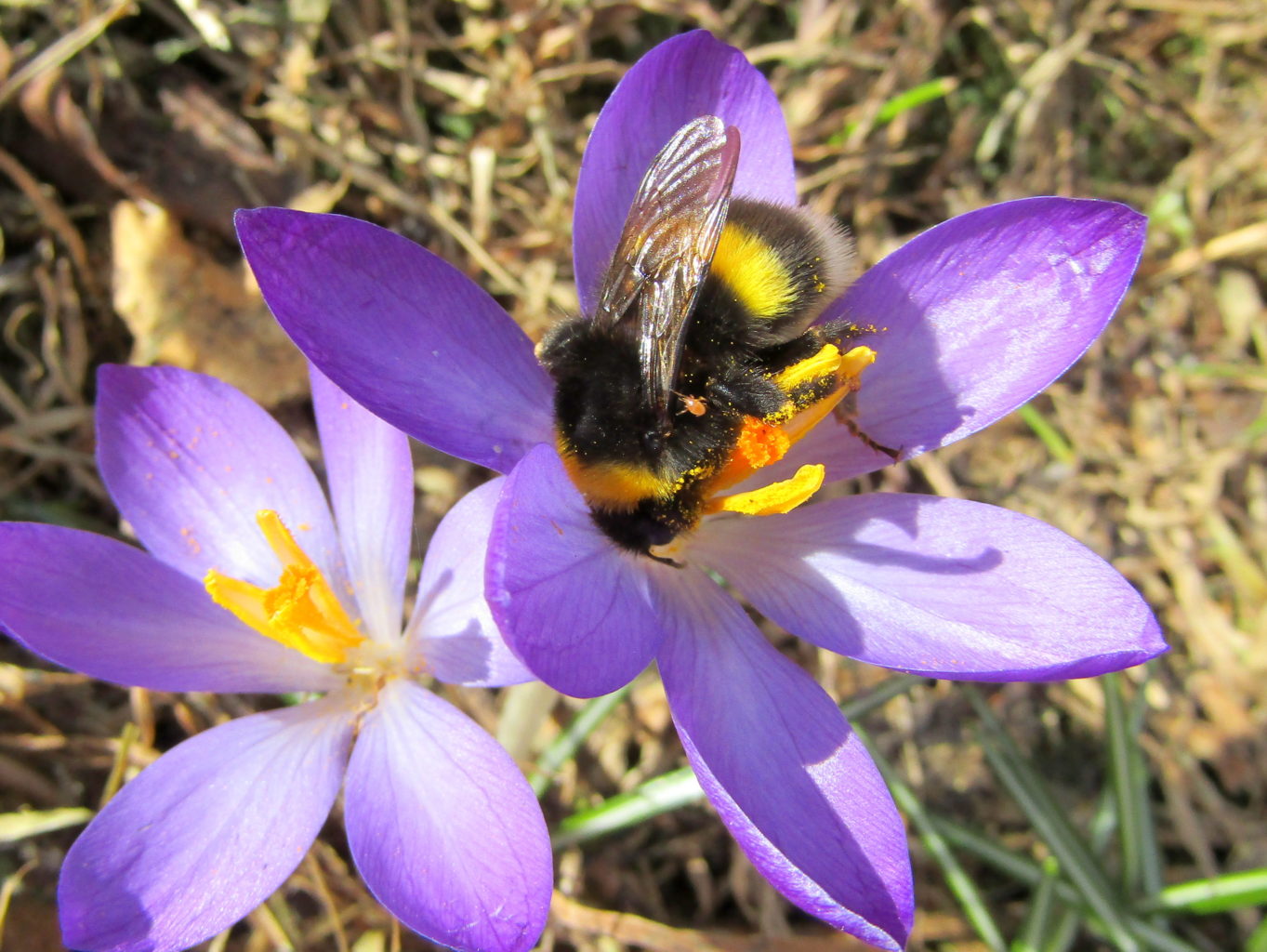 Valokuvaaja: Sirkka Ruotoistenmäki