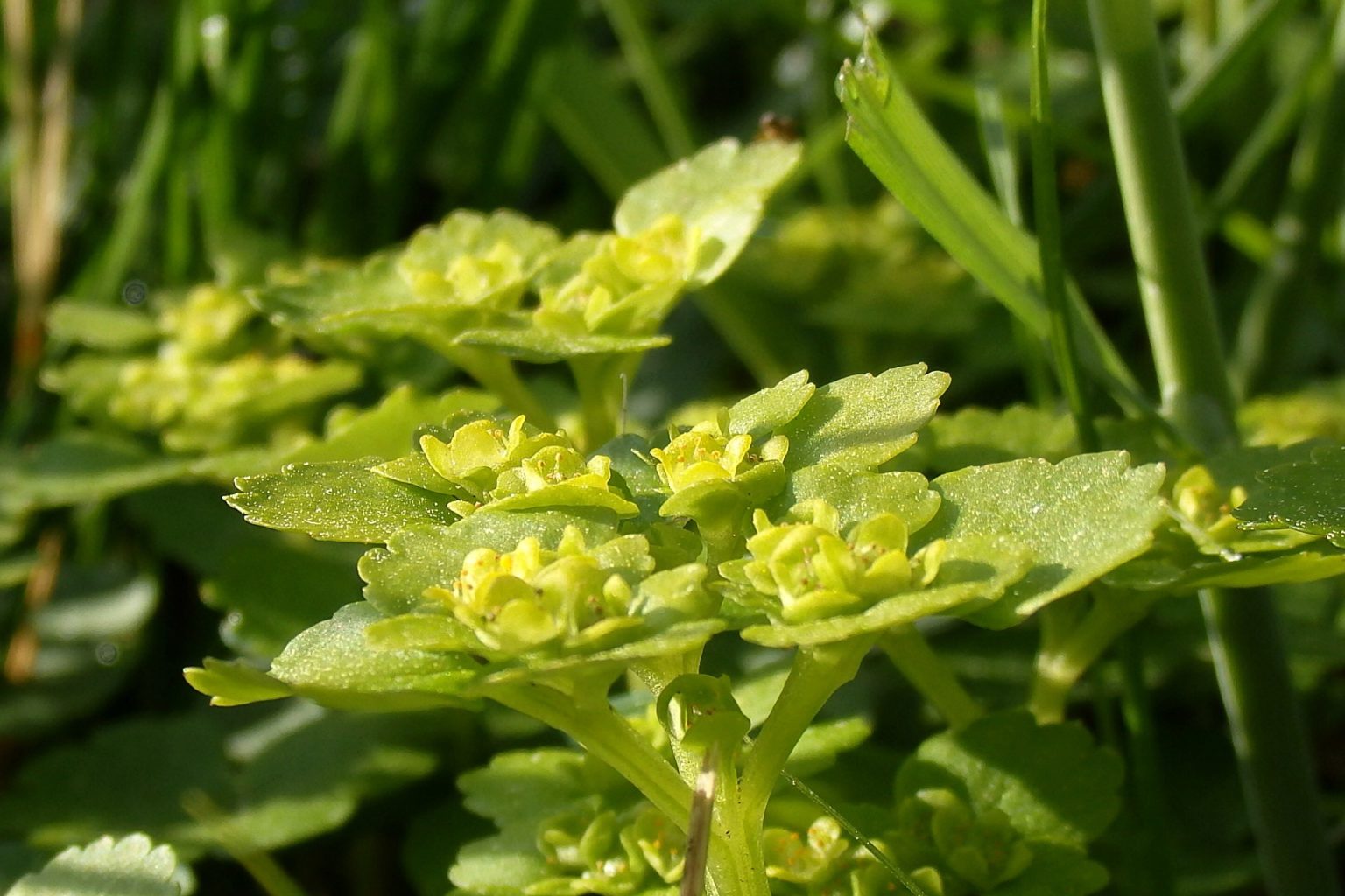 Valokuvaaja: Antti Kaskinen Valokuvaaja: Antti Kaskinen