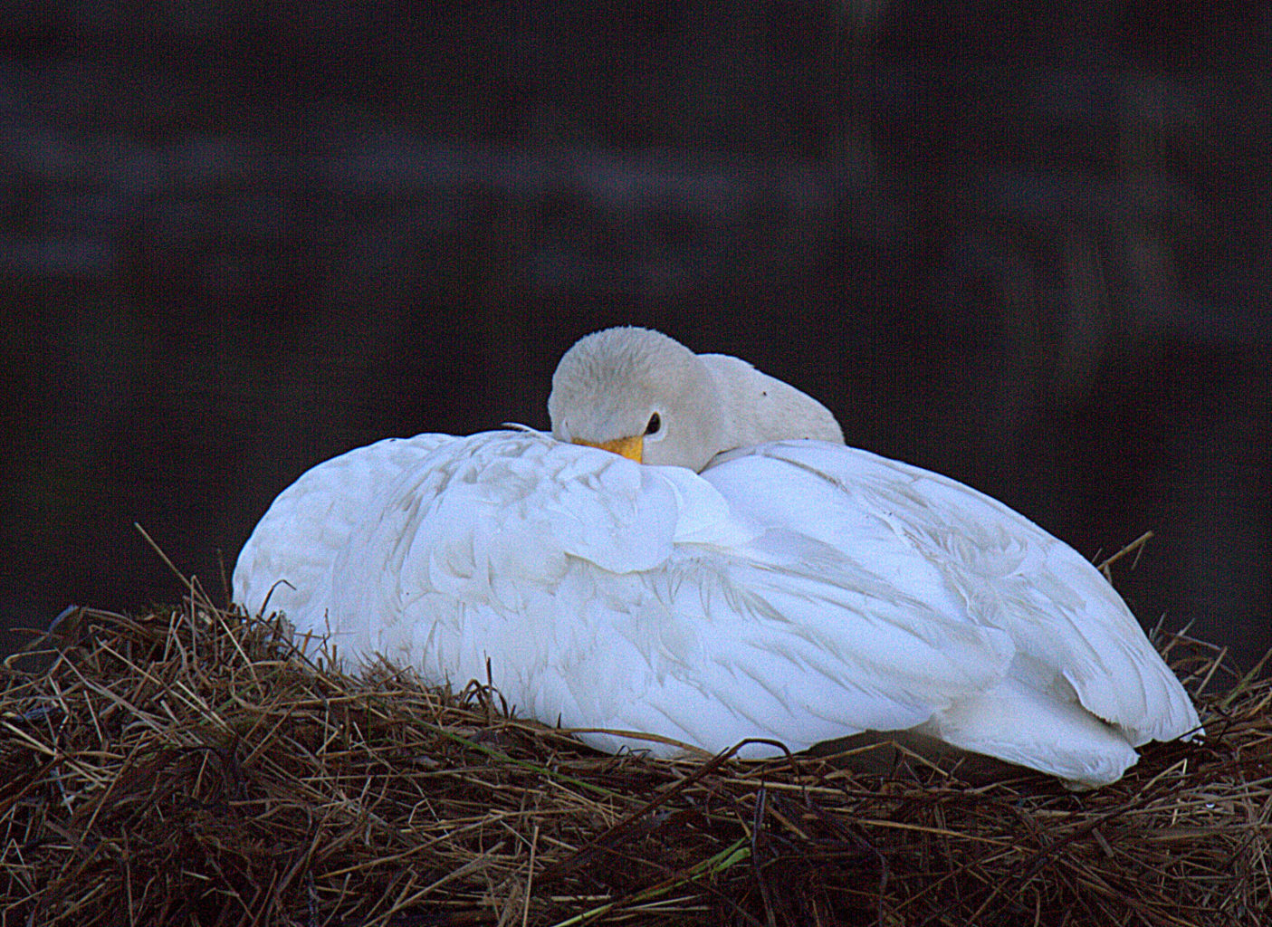 Valokuvaaja: sirpa Jyske