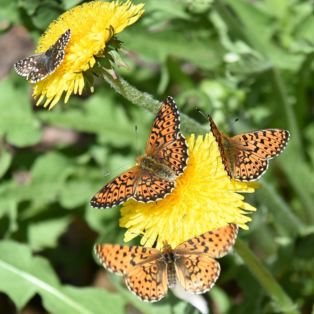 Valokuvaaja: Antti Kaskinen