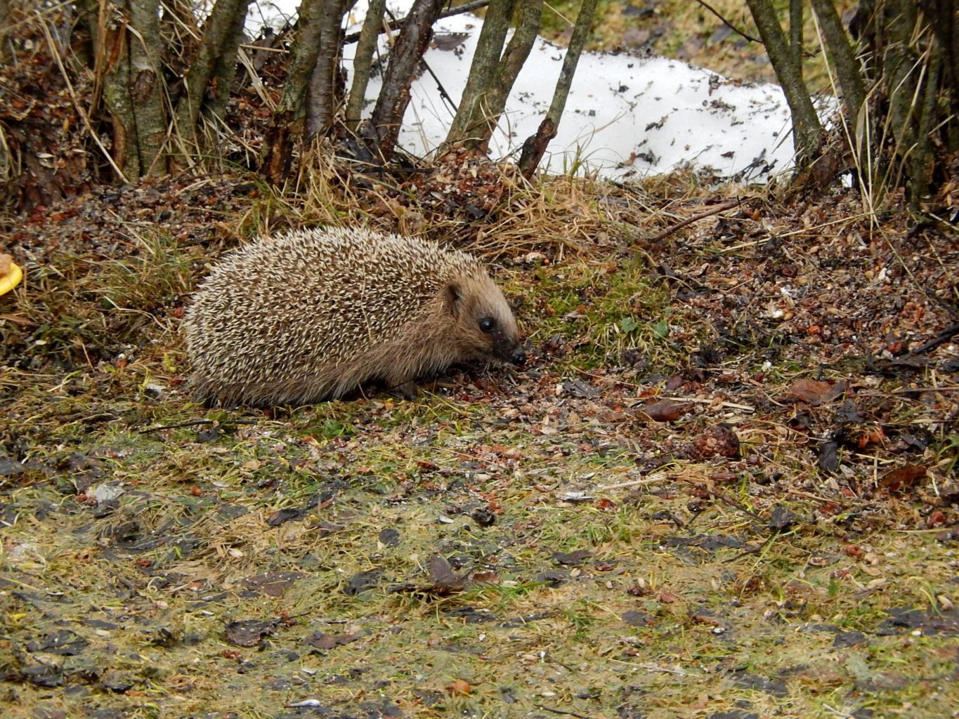 Valokuvaaja: Pirkko Siukonen