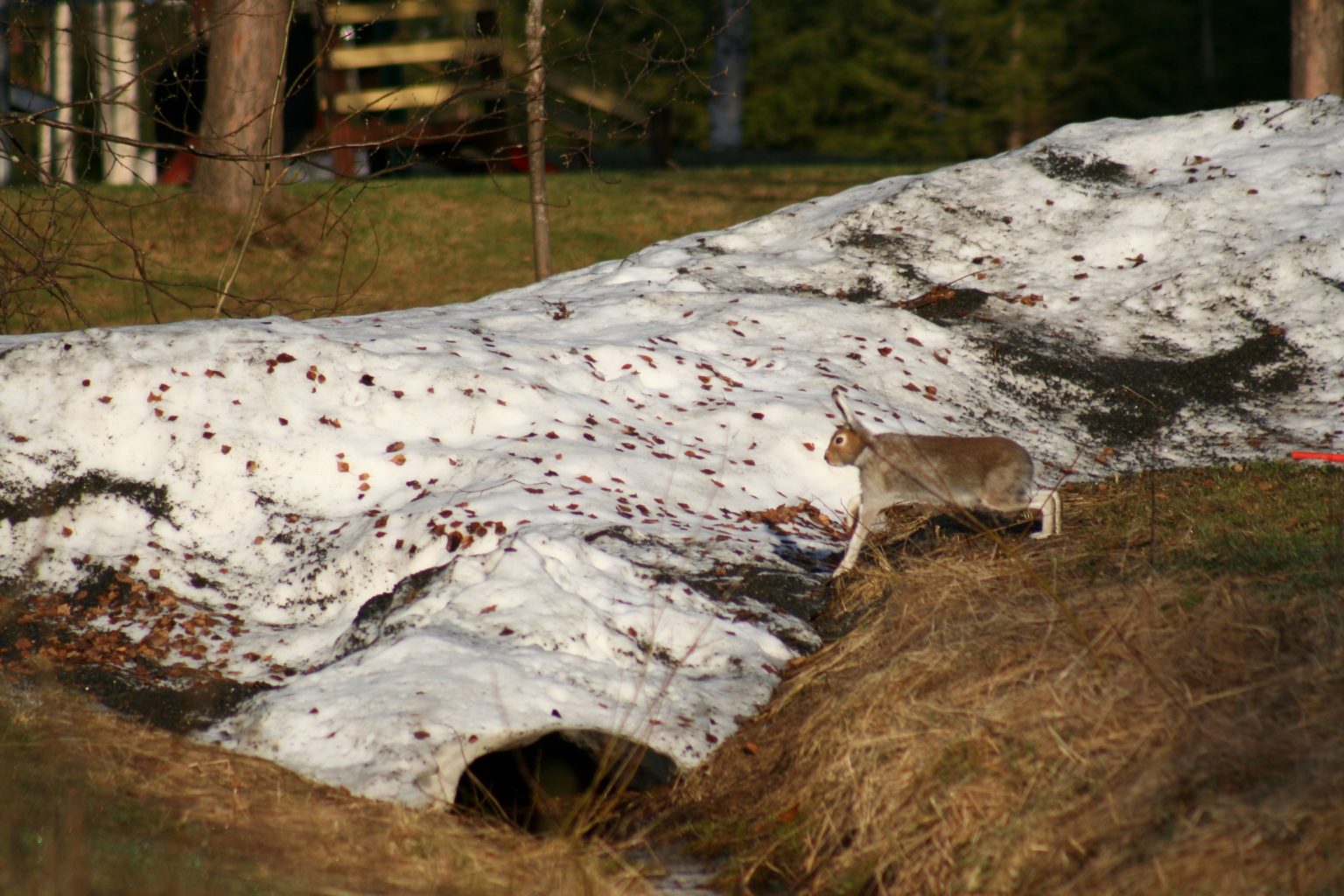 Valokuvaaja: Pirkko Siukonen