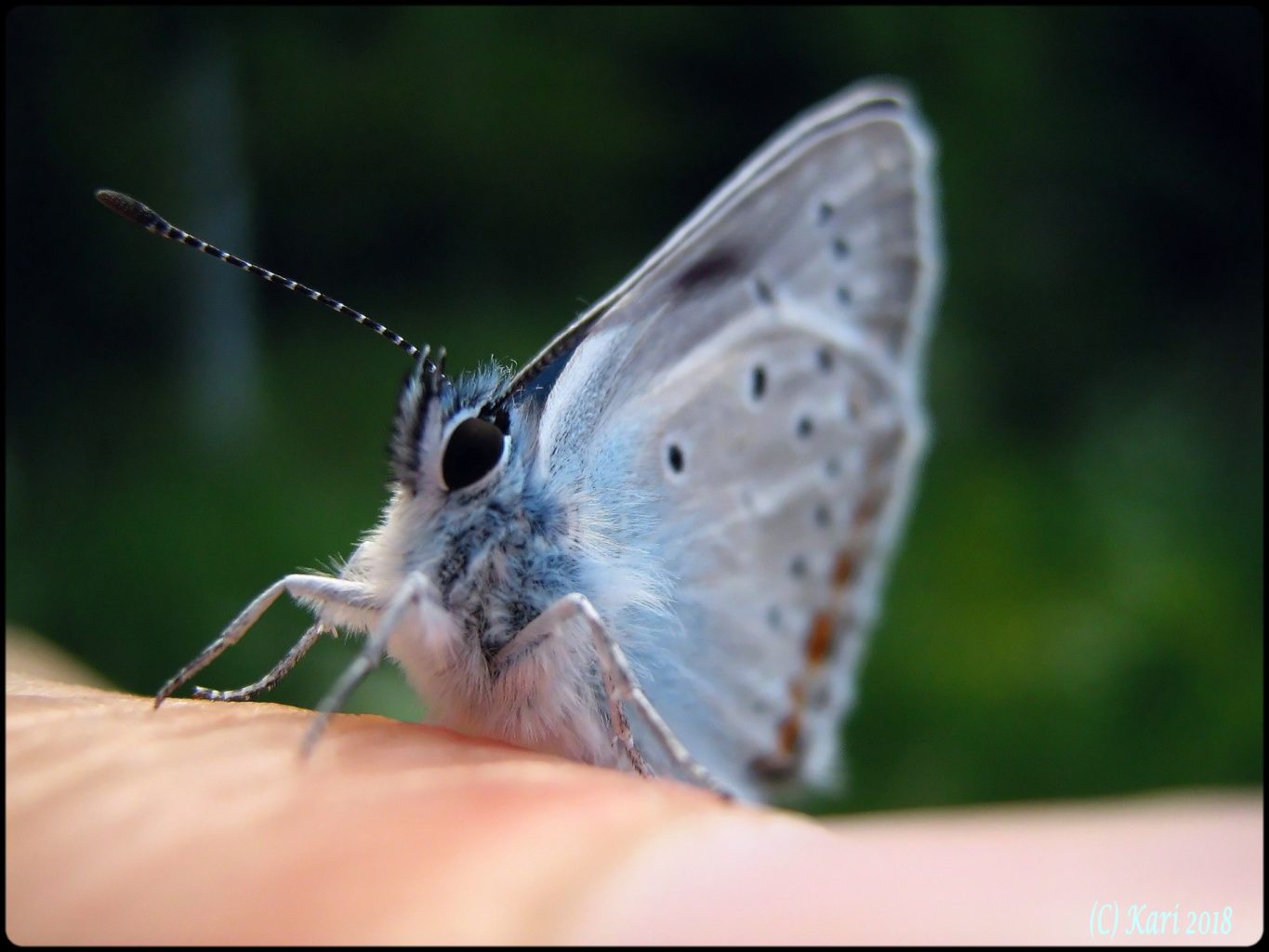 Valokuvaaja: Kari Saarinen