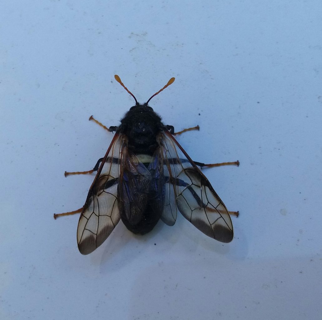 Valokuvaaja: Mikko Kääriä Valokuvaaja: Mikko Kääriä