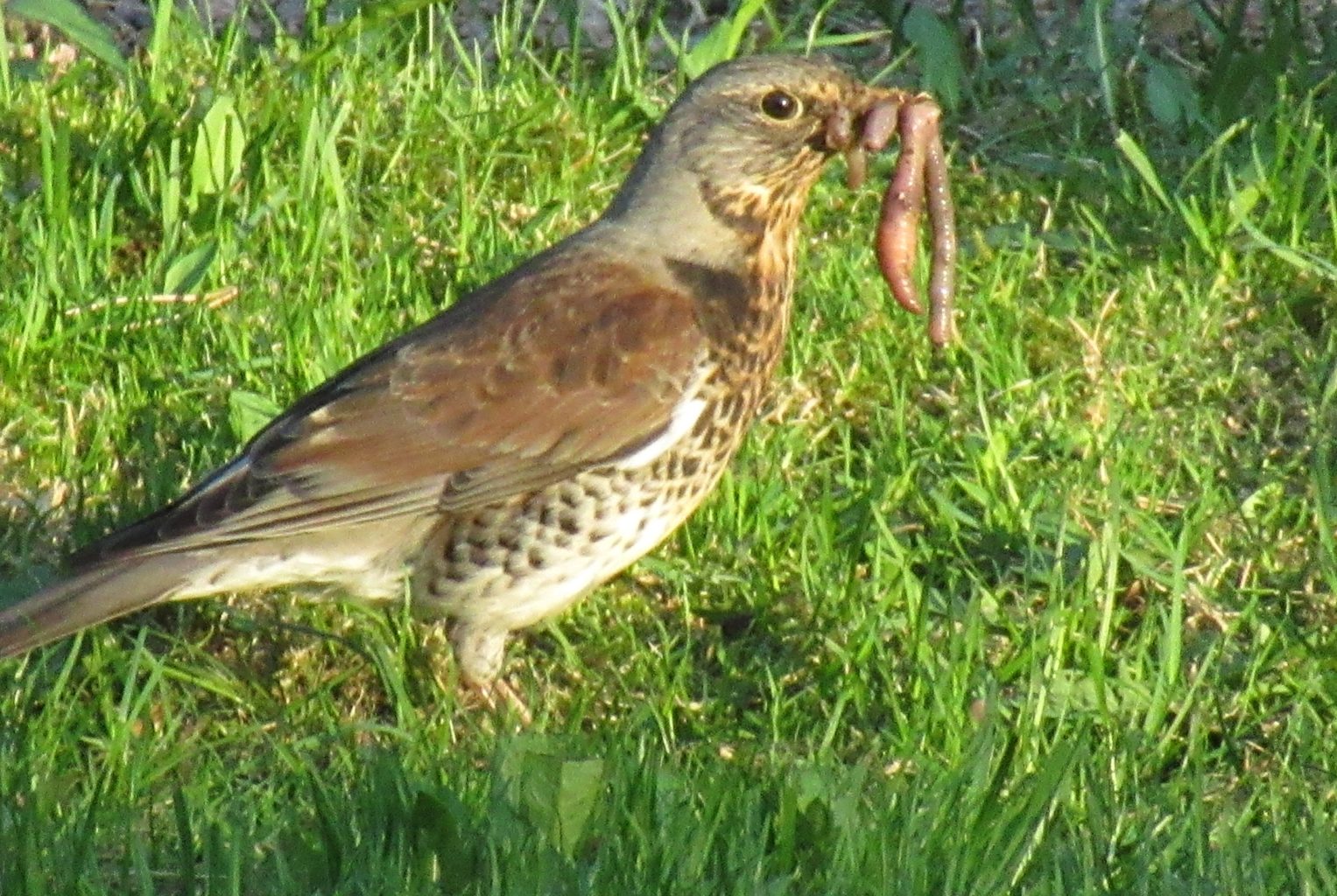 Valokuvaaja: Tuula Makkonen